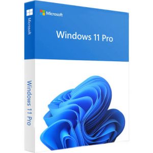WINDOWS 11 PRO 64BIT OEM